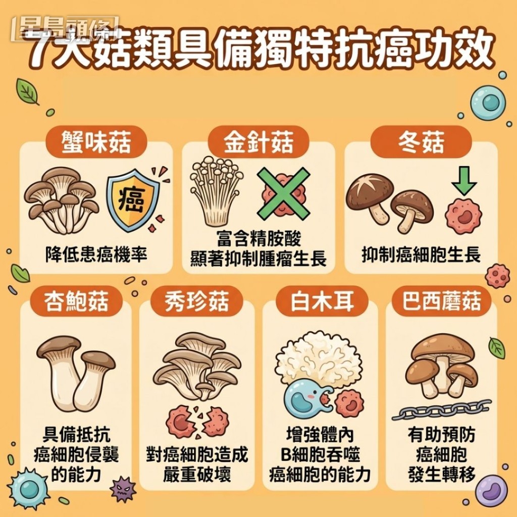 7大菇類具備獨特抗癌功效 7大菇類具備獨特抗癌功效