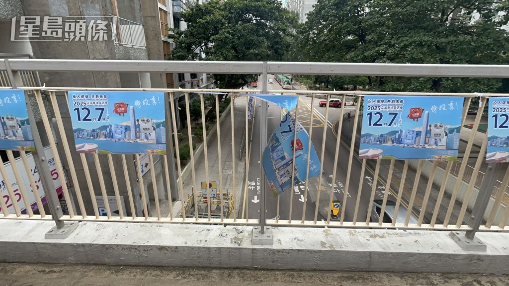 多幅選舉海報損毀。