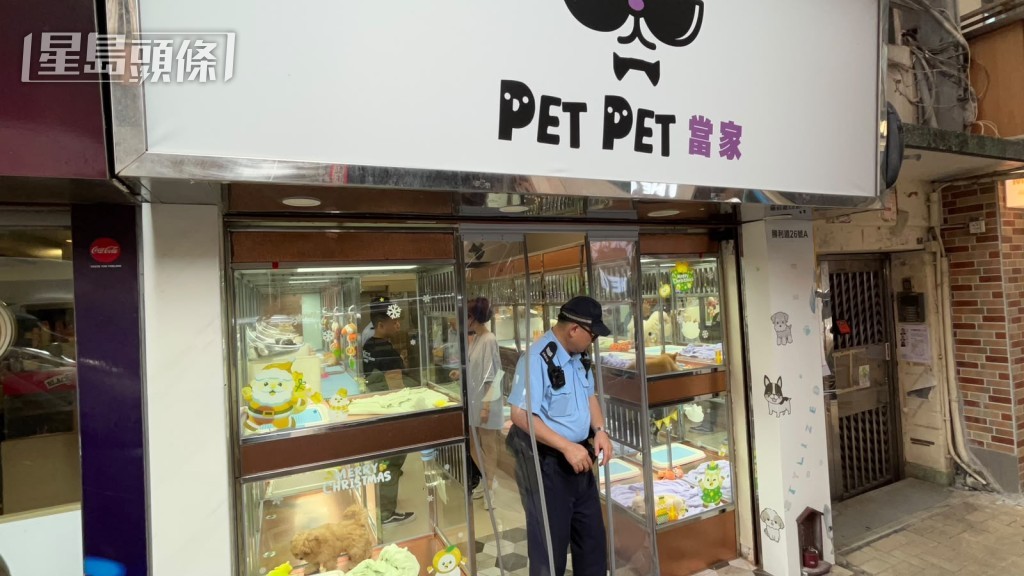 寵物店被偷走一隻狗。 寵物店被偷走一隻狗。