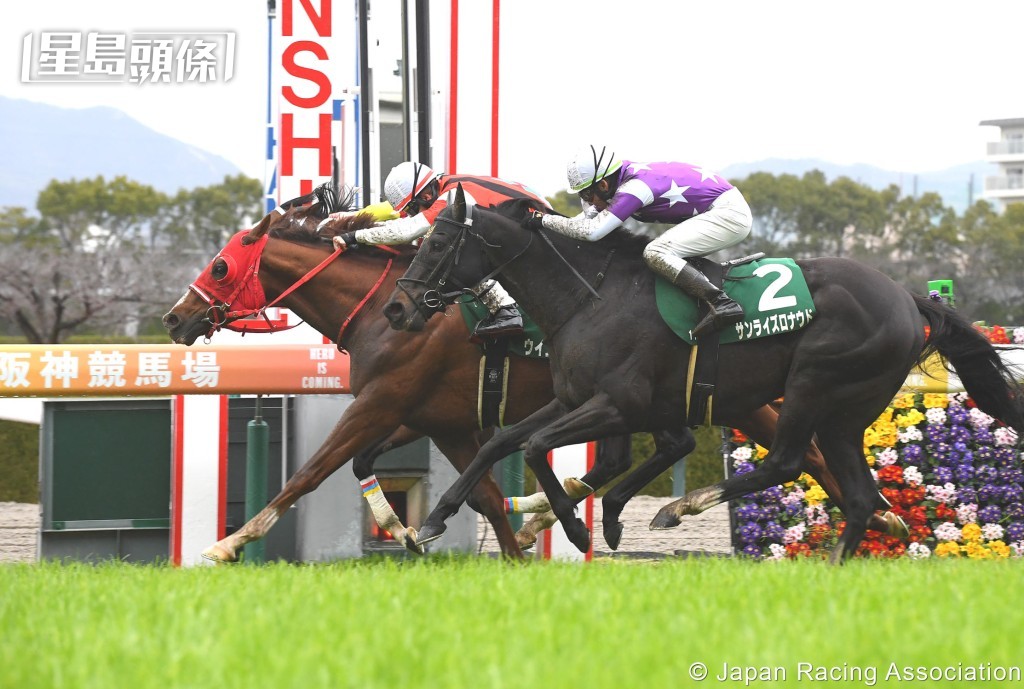 「旭日朗途」(外) 今仗將力爭為安田翔伍贏得首項海外大賽殊榮。