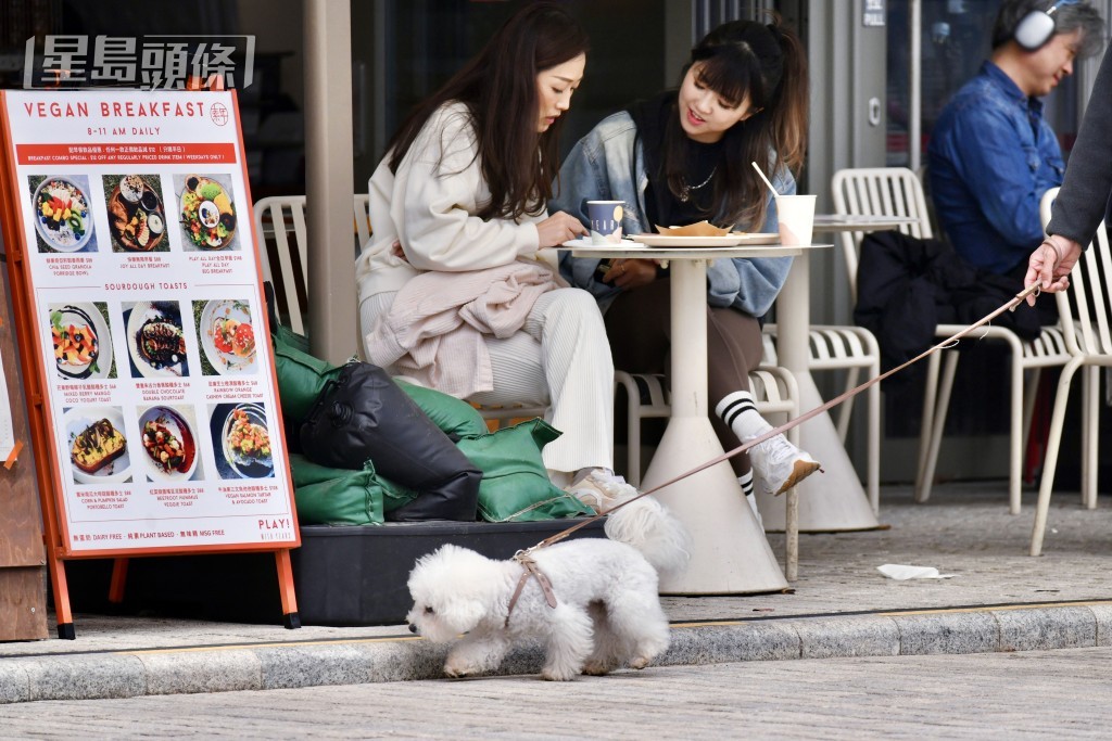 政府半年後將檢視牌照條款應放寬或收緊。資料圖片
