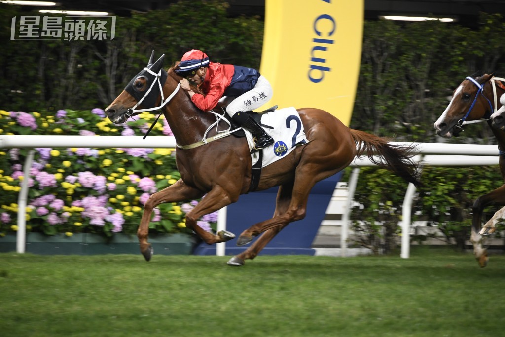 何猷亨名下的「爆谷」，曾在告東尼訓練下於谷草贏出五場頭馬。