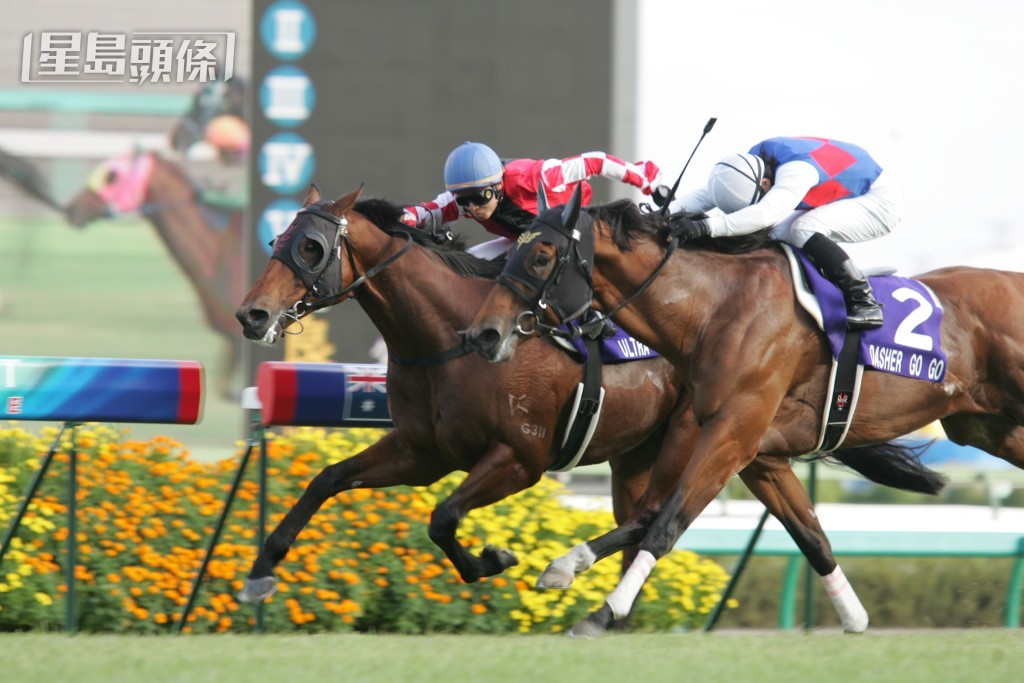 「極奇妙」（內側）曾四度為練馬師姚本輝建功。