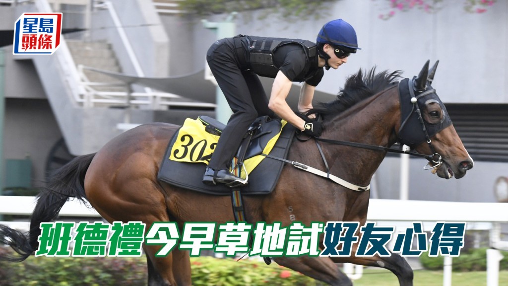 「好友心得」于今早由班德礼试草地。