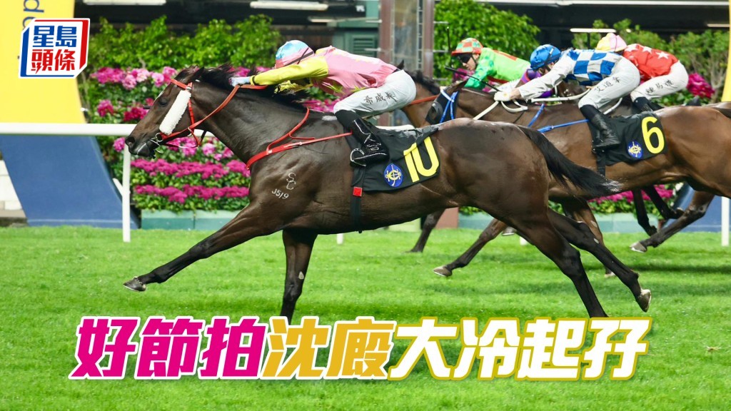 「好节拍」沈厩大冷起孖