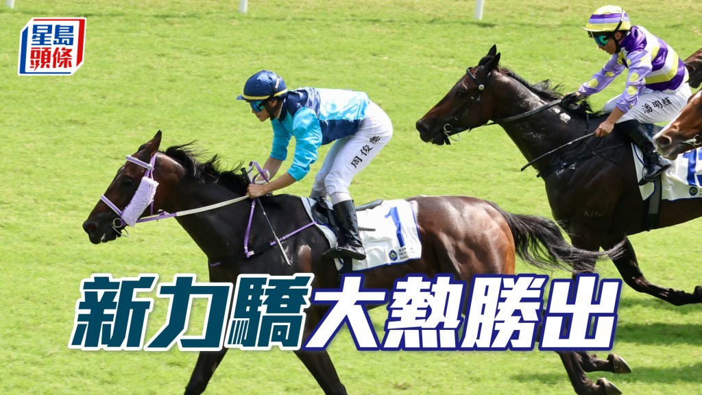 「新力驕」大熱勝出