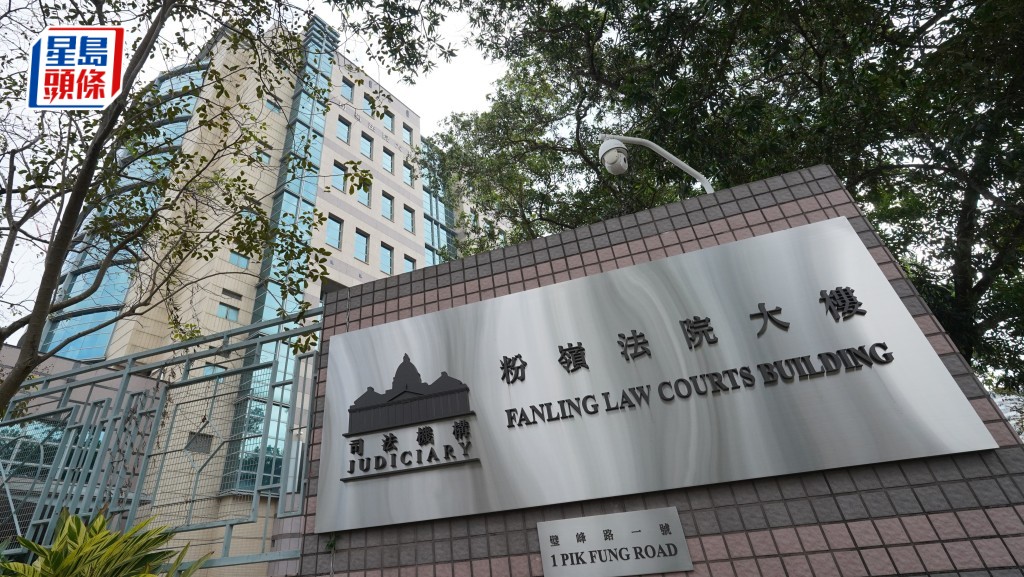 內地女子李祖儿承認1項以欺騙手段取得服務罪，獲准保釋候懲。資料圖片