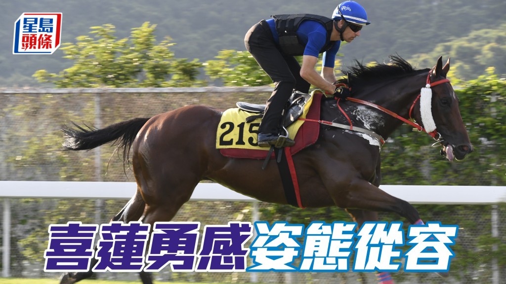 「喜蓮勇感」姿態從容