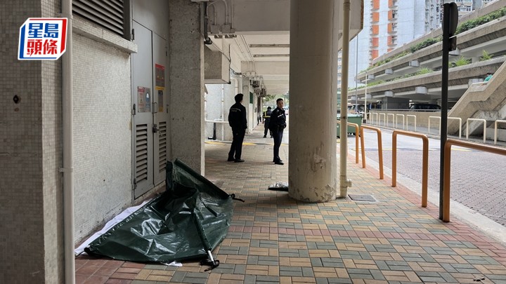 女子墮樓死亡。梁國峰攝