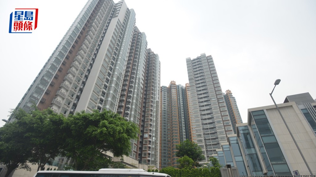 大鼠戊型肝炎︱61歲婦本地感染 居於維港.星岸 人員視察揭鼠跡