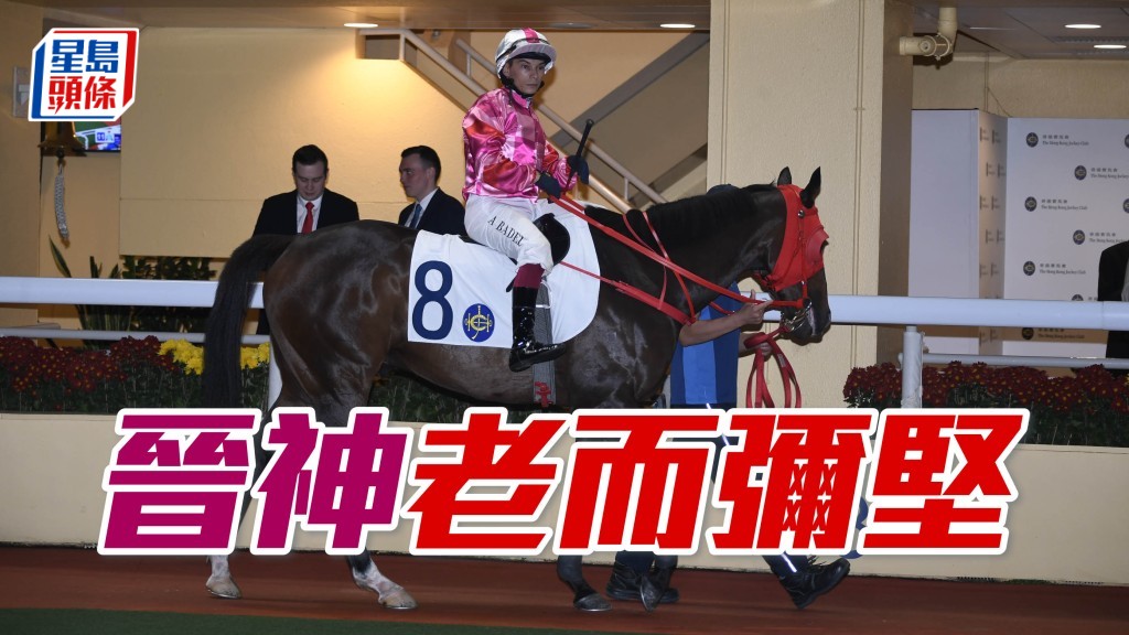 「晋神」八岁马老而弥坚，近期表现稳定，今次后备补出排一档，有力带来惊喜。