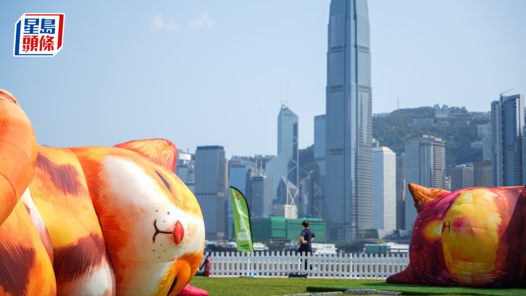 西九家FUN艺术节明日揭幕 英国巨型互动装置《梦游喵境》登港