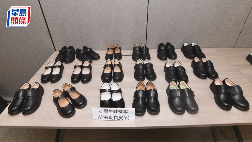 何君健攝
