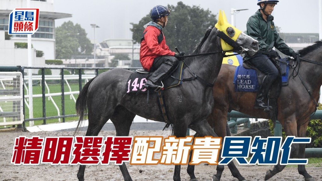 周日法國二十四歲新星貝知仁將會作地標戰，其坐騎「精明選擇」(圖) 能否打響頭炮？