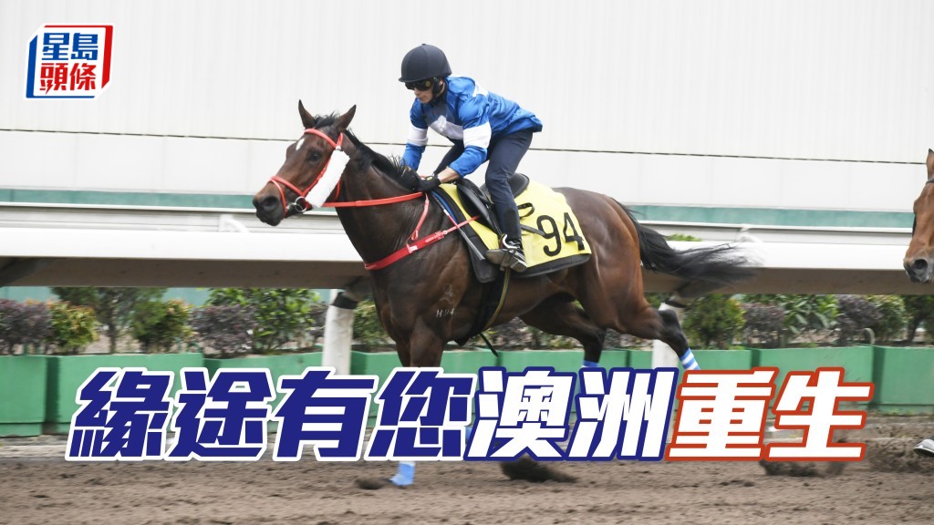 「緣途有您」在港出賽八次未曾入Q,運到澳洲於今日首度奪亞。