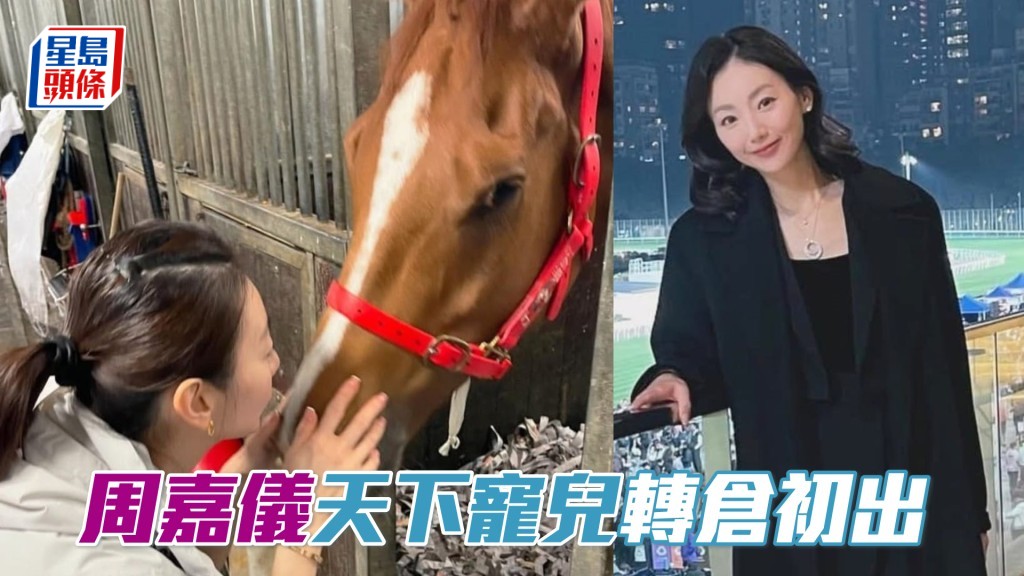 「天下寵兒」周日將配周俊樂出戰第一場田草一千米。（相片來源：馬主周嘉儀ig）