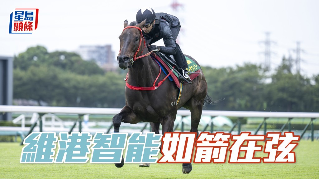 「維港智能」在中山競馬場快跳備戰短途馬錦標。