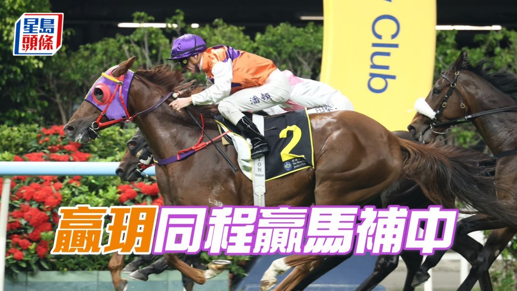 「赢玥」同程赢马补中