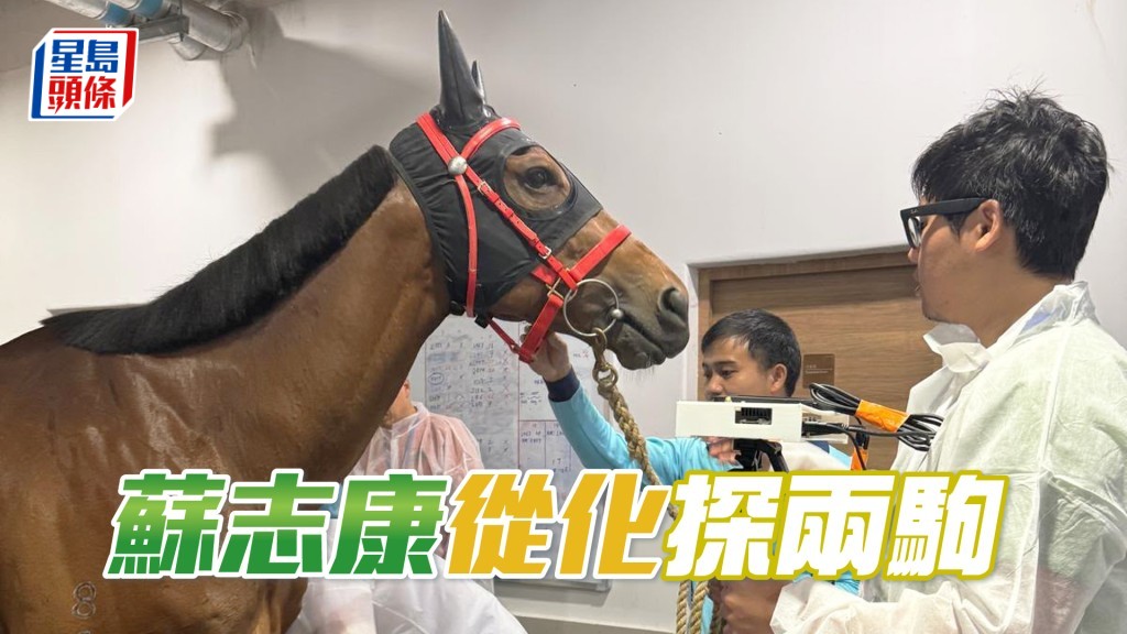 「波」系馬主蘇志康日前在從化運用AI分析和數據收集的過程。（相片來源：馬主蘇志康提供）
