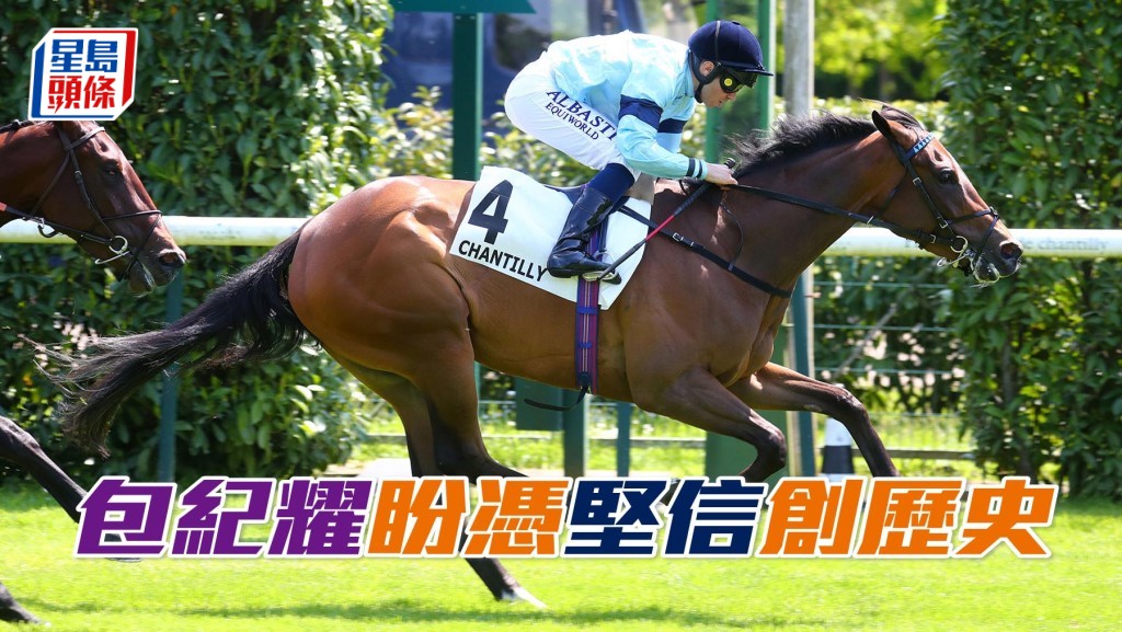 包紀耀盼憑「堅信」揚威主席短途獎創歷史。