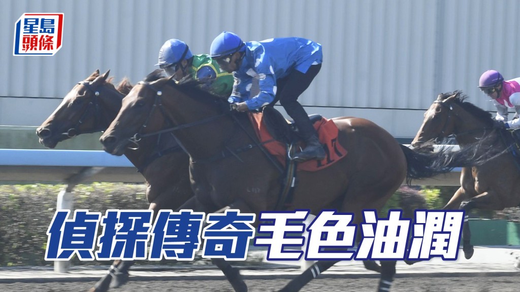「偵探傳奇」擔高頭走步挺爽朗，馬身亦壯得很。