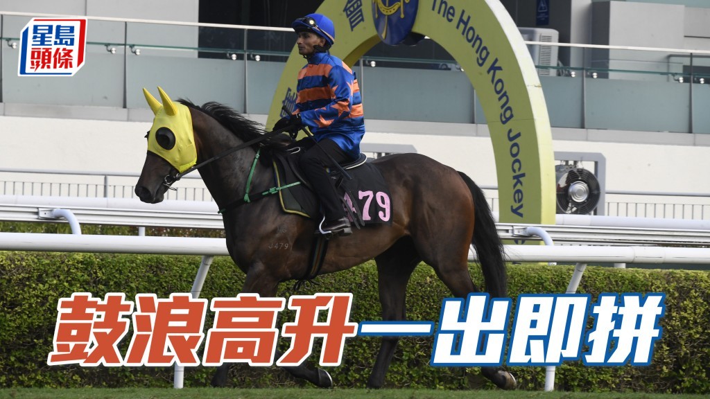  吳濤養過不少「鼓浪」系馬均有好成績，且看「鼓浪高升」在伍鵬志的訓練下，會否交出好成績。
