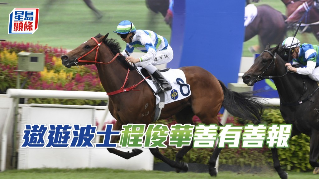 「遨遊波士」將出戰周日第四場四班千二米。