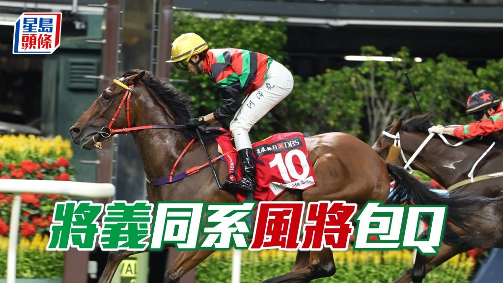 「將義」同系「風將」包Q