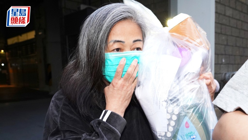 蔡天鳳前家姑李瑞香今早被裁定表證成立。資料圖片