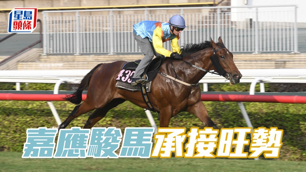  梁錫光個人名下的「嘉應駿馬」報爭周日沙賽事第二場賽事，此馬上場走勢進步，或有力為馬主再帶來驚喜。