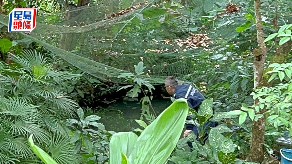 警員在魚池附近調查。楊偉亨攝