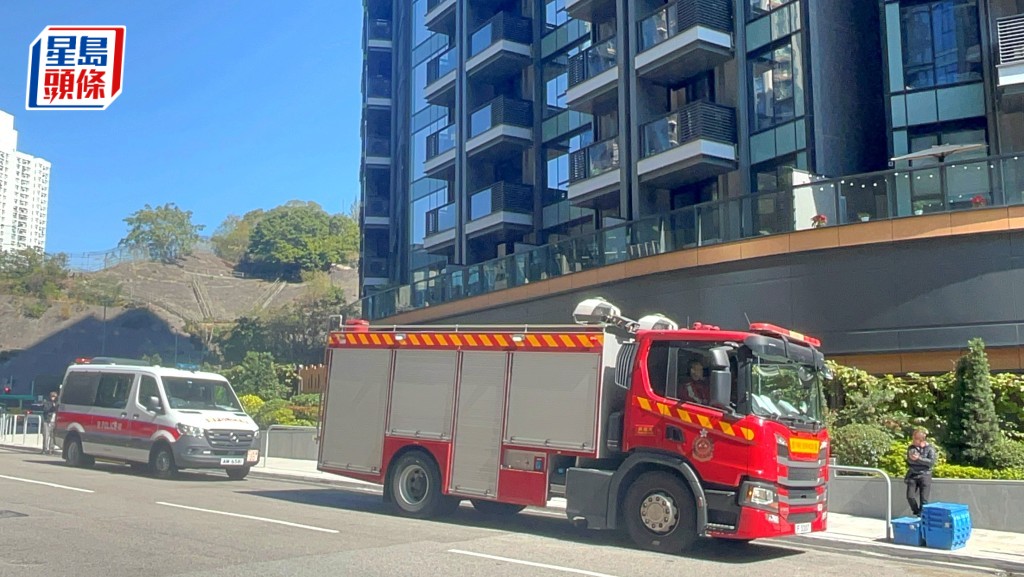 朗賢峯一單位冒煙，消防到場救熄。楊偉亨攝