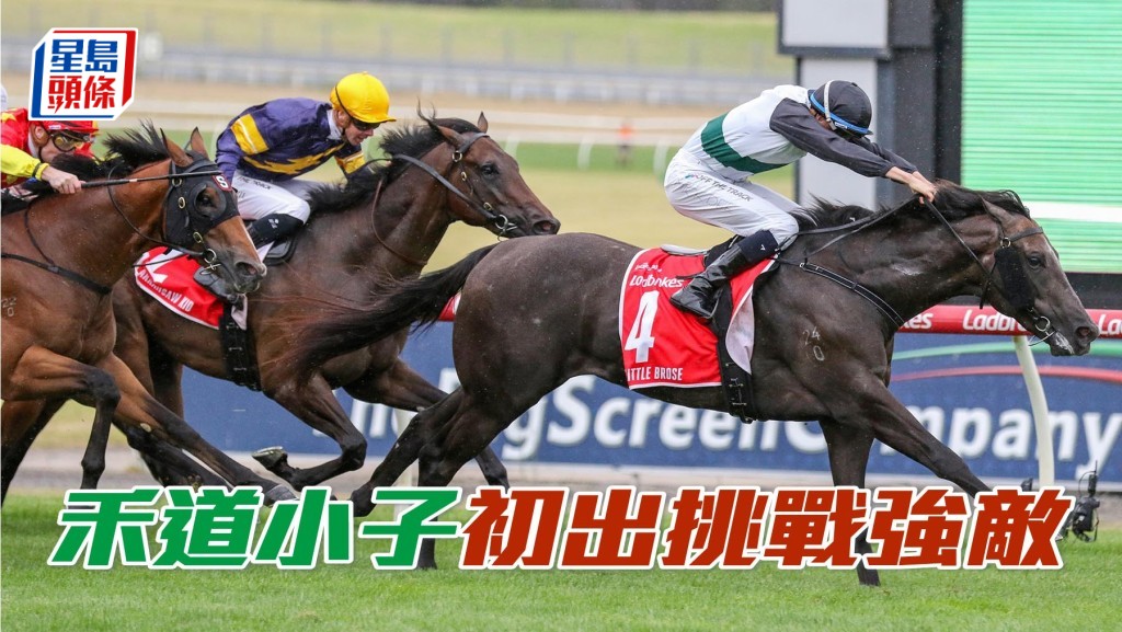 「禾道小子」在港首仗挑戰一級賽主席短途獎。