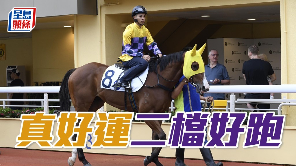 「真好運」上仗熱身省起狀態後，今場再出排二檔，或可為李家帶來驚喜。