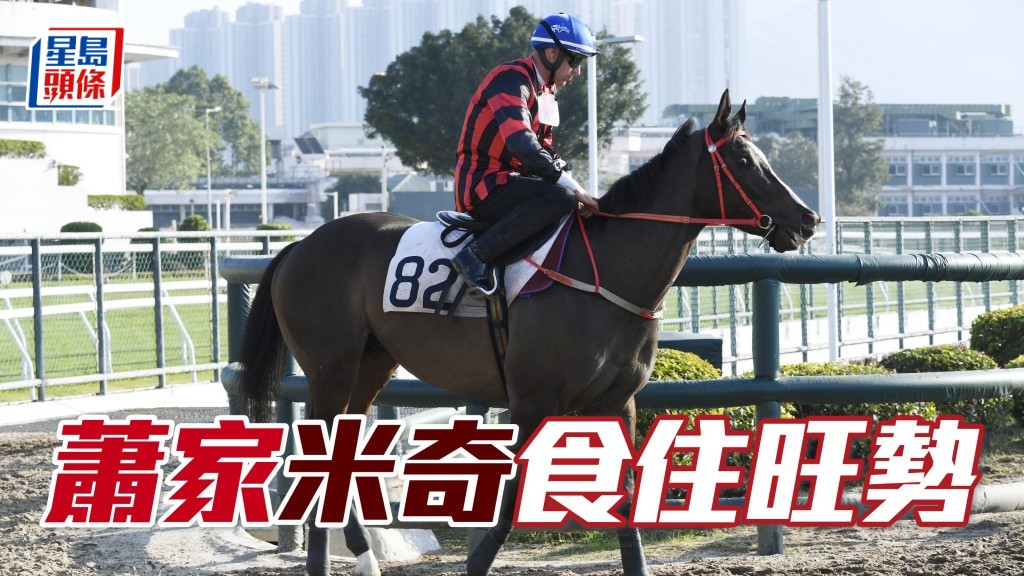  馬主蕭劍平的弟弟蕭劍新剛周三谷戰贏「巴薩諾瓦」，或可為帶旺「米奇」(圖) 。