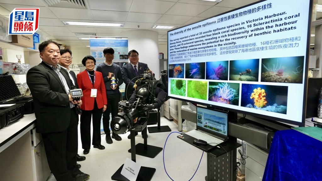 城大新研究在維港海底發現35種珊瑚。蘇正謙攝