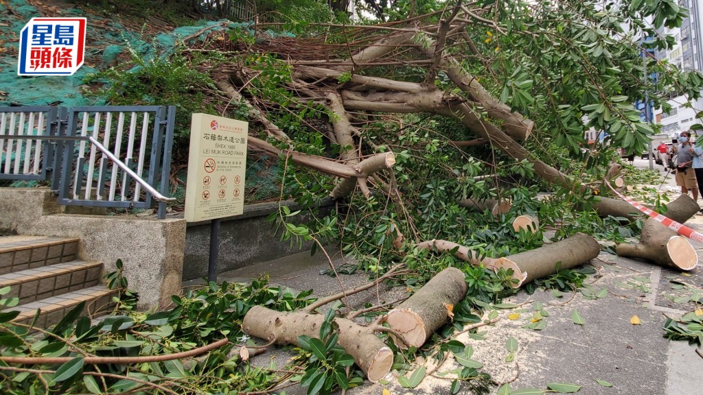 謝展寰表示已要求前線同事當日盡快處理相關垃圾。資料圖片