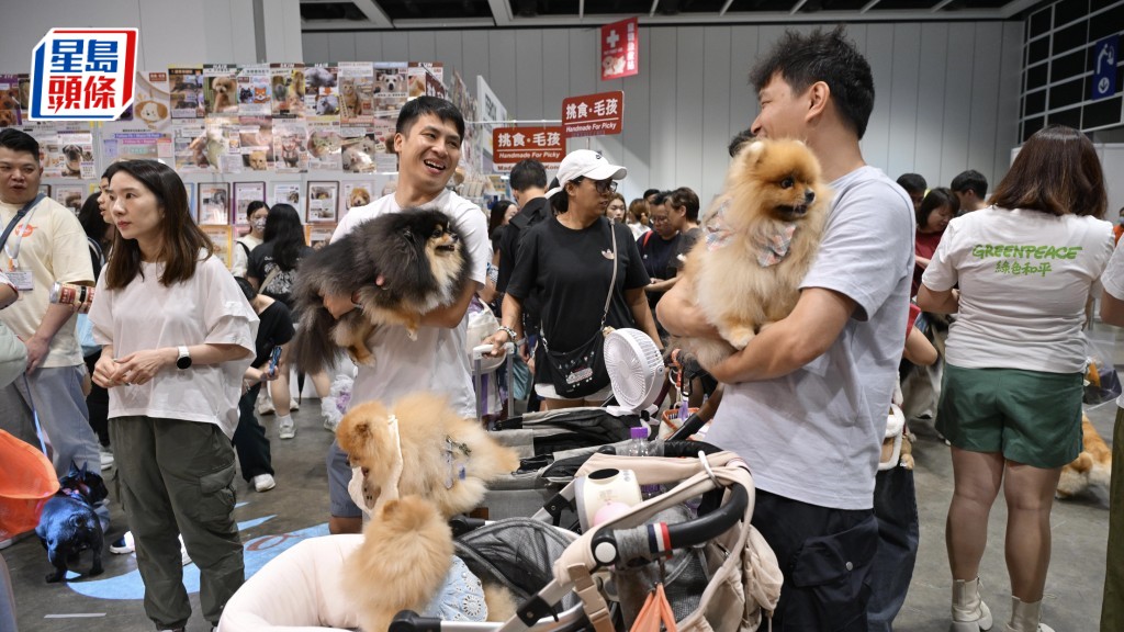 全港十八區狗狗普查啟動 首日吸引800狗主參與 業界料放寬犬隻進食肆助長寵物經濟
