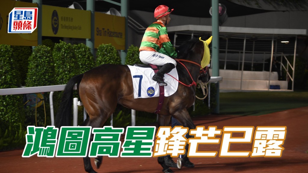 「鴻圖高星」剛季只交出基本水準也可連番入位，下季轉四歲要贏馬應該不難。