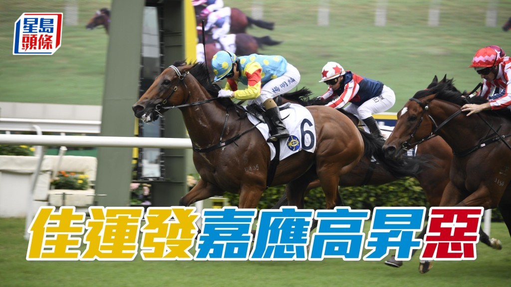 希斯接受查詢時表示，對「佳運發」(圖) 和「嘉應高昇」的爭勝機會最感樂觀。