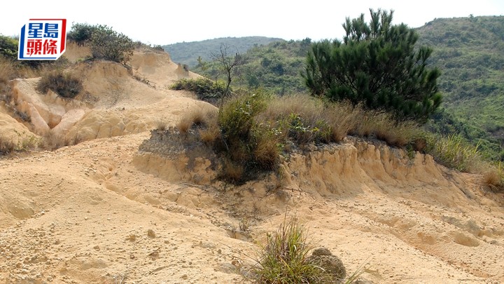 菠蘿山。資料圖片