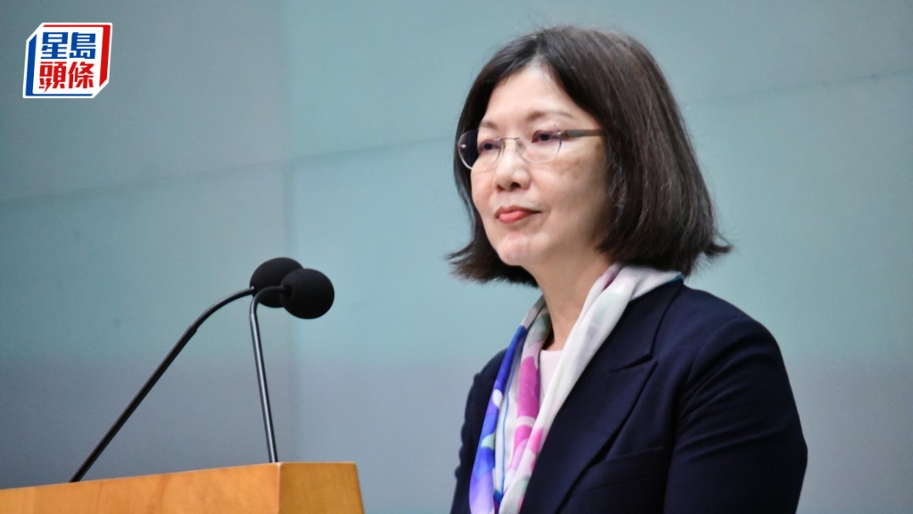 議員指政府推動政策仍以香港為本位 謝小華：考慮政策需將三地「制度之異」轉化為「制度之利」