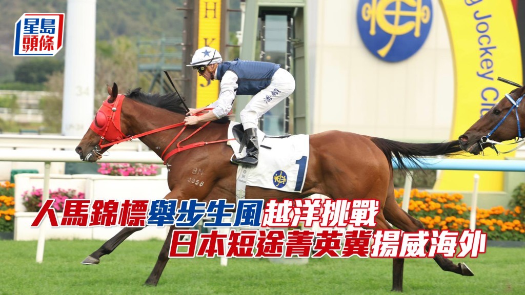 「舉步生風」將於本周日在日本阪神競馬場出爭二級賽人馬錦標。
