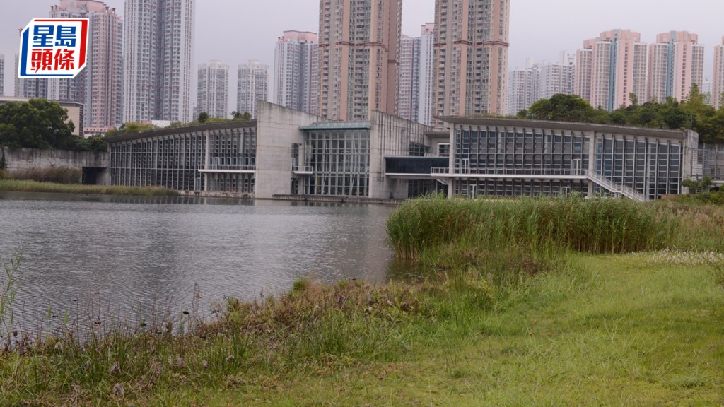 濕地公園兩赤頸鴨分別驗出對H5禽流感病毒呈初步陽性。資料圖片