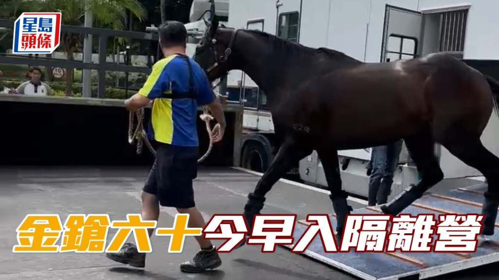 三屆馬王「金鎗六十」今早正式離開呂健威馬房，進入隔離營。