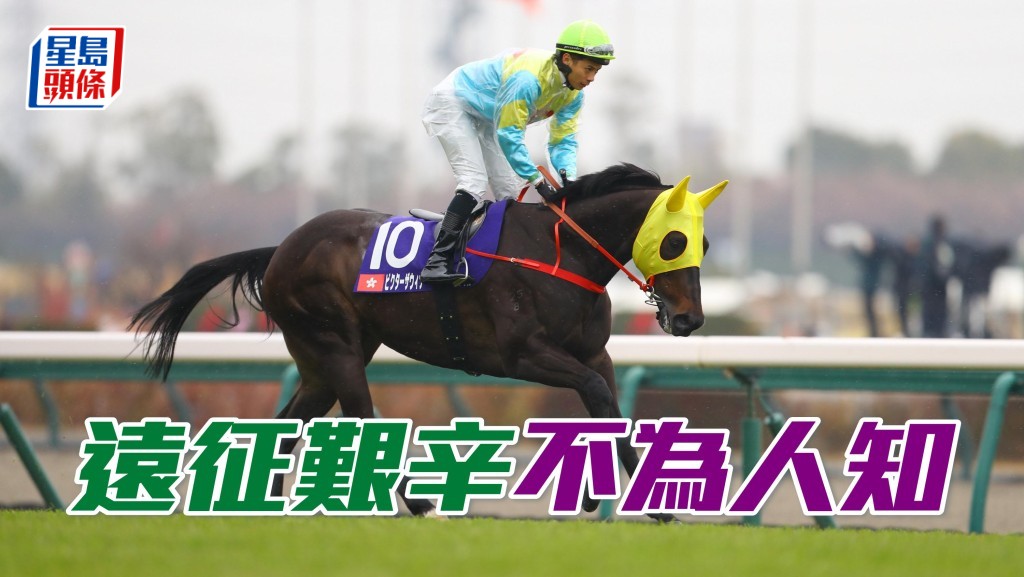 安排一匹马远征，当中的艰辛之处，绝对不为外人所道。