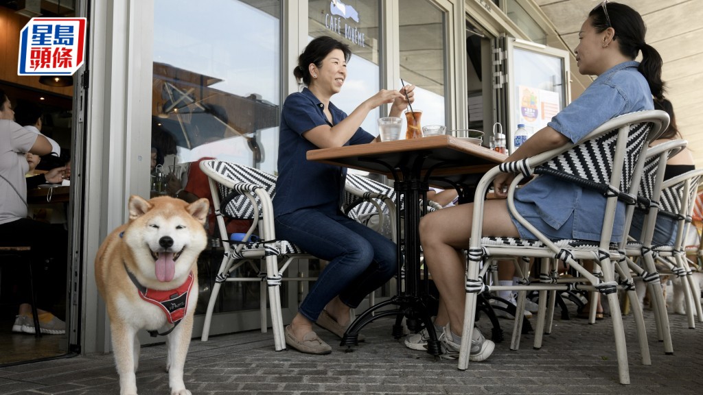狗只入食肆︱适应期已结束 截至昨日发77个口头警告 食环署：往后倘违规将即时执法、不作预先警告
