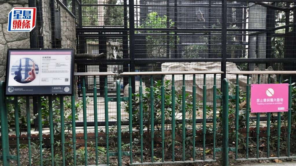 香港動植物公園至今累計共有10隻猴子死亡。資料圖片