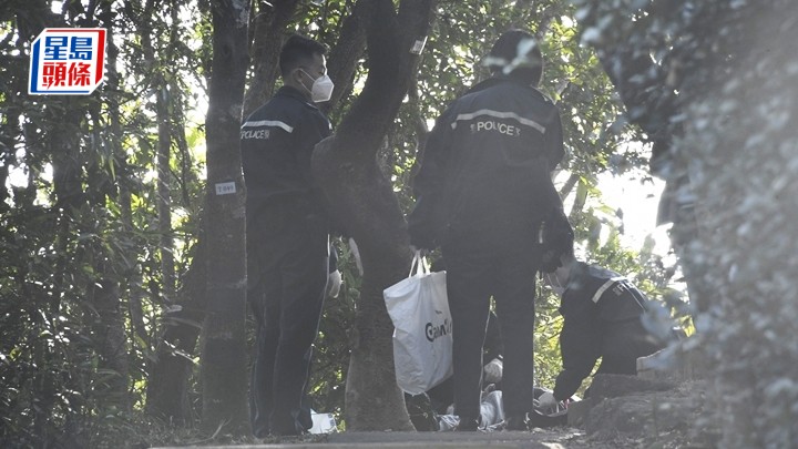 男子在樹上上吊,當場死亡。楊偉亨攝