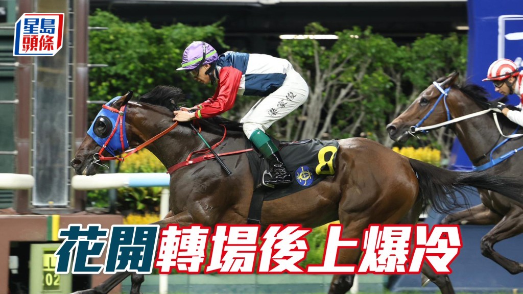 「花開」轉場後上爆冷